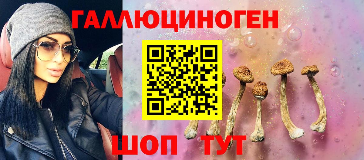 Галлюциногенные грибы Magic Shrooms Муром