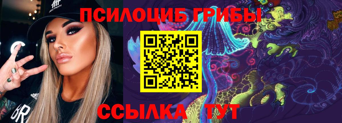 Галлюциногенные грибы Psilocybe  Вход с VPN  Галлюциногенные грибы мицелий  Муром 